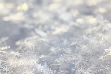 Fototapeta premium Winter white snow background, abstract blurred snowfall surface