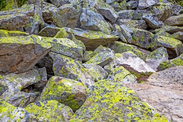 Obraz premium Bright moss-covered alpine boulders in rocky mountain field