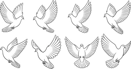 Flying dove silhouette set, bird wings spread, peaceful flight motion, elegant avian pose, vector line art, spiritual freedom, minimalist animal illustration