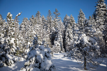 Winter hiking in the Pleiades, Switzerland
