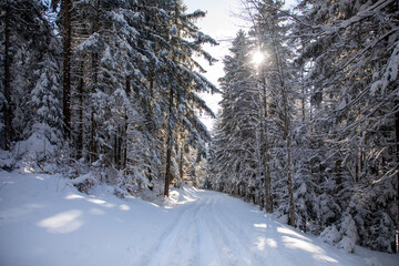 Winter hiking in the Pleiades, Switzerland