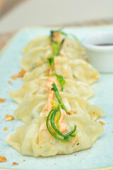 A close-up shot of gyoza drizzled with sauce