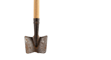 A rustic garden spade with an oxidized iron blade and oak handle stands firmly in a mound of dark soil against a bright white background. Concept of agriculture and gardening