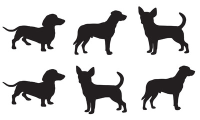 Obraz premium Collection of six black silhouette illustrations of various small dog breeds standing and in profile against a white background perfect for graphic design