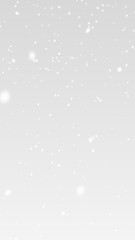 Fototapeta premium PNG falling snow on a transparent background. Soft snowfall, delicate snowflakes, fresh snow flakes and a clean winter snow background. Subtle bokeh lights
