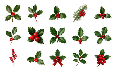 PNG Festive holly leaves and berries, transparent background