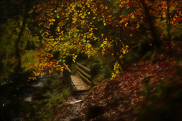 A digital illustration of vibrant mossy autumn foliage and flowing water at Wyming Brook in the Derbyshire, Peak District National Park.