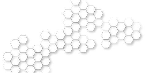 beautiful geometric pattern white gray hexagonal, abstract white hexagon concept background, hexagon concept design abstract technology, hexagon polygonal pattern background.