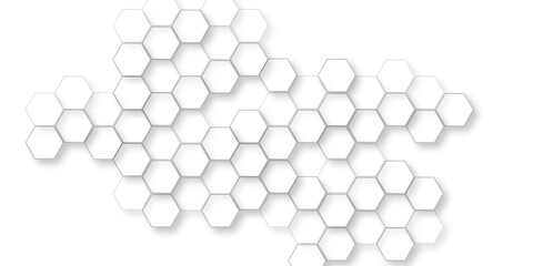 beautiful geometric pattern white gray hexagonal, abstract white hexagon concept background, hexagon concept design abstract technology, hexagon polygonal pattern background.