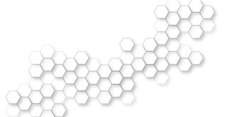 beautiful geometric pattern white gray hexagonal, abstract white hexagon concept background, hexagon concept design abstract technology, hexagon polygonal pattern background.
