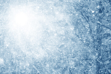 Fototapeta premium Snowy winter background in the park, blurred abstract seasonal backdrop, snowflake texture, light landscape background