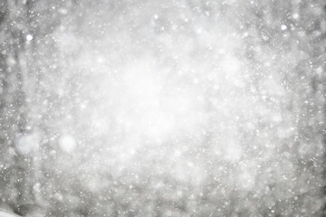 Snowy winter background in the park, blurred abstract seasonal backdrop, snowflake texture, light landscape background