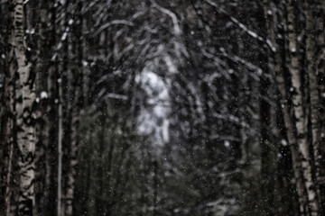 Obraz premium Winter blurred background, snowflakes, light weather, abstract backdrop in the park