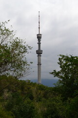 Naklejka premium Tall Television Tower Surrounded By Green Forest With Mountains In Almaty Kazakhstan