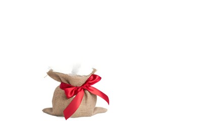  standing isolated against a pure white background