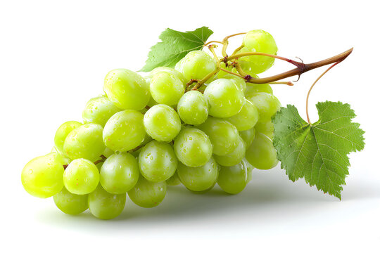 Fresh green grapes harvested in late summer for snacking and baking