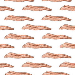 Muraena, moray seamless pattern in cartoon. Design for card, cloth print on a white background.