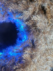 Modern design for a postcard