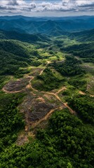 Deforestation in a lush tropical forest seen from an aerial view.
