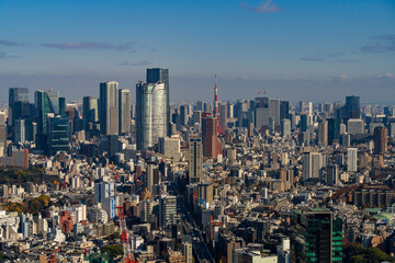 Panoramic view of Tokyo central area cityscape with Tokyo Tower at daytime