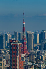 Tokyo tower and Tokyo central area cityscape at daytime