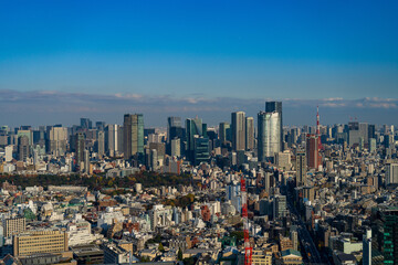 Fototapeta premium Panoramic view of Tokyo central area cityscape with Tokyo Tower at daytime