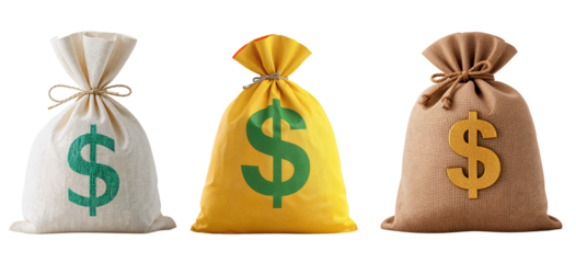 full bag with dollar sign isolated on transparent background