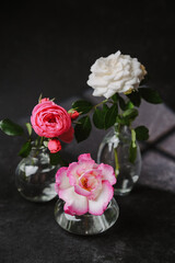 Three delicate roses in small glass vases on dark textured surface, one white, two pink and white