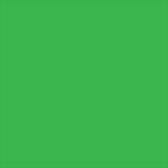 Green Color Block Digital Art – Bright Green | Grass Green | Solid Minimalist Background • Chroma Key Backdrop • Nature-Inspired Modern Design • Fresh Eco Aesthetic • Vibrant Contemporary Wallpaper