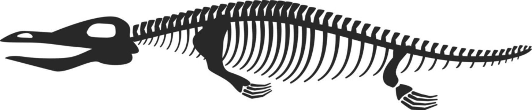 Prehistoric ichthyosaur skeleton outline representing ancient life