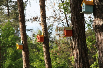 Colorful birdhouses mounted on trees in Yerevan Botanical Garden, Armenia 