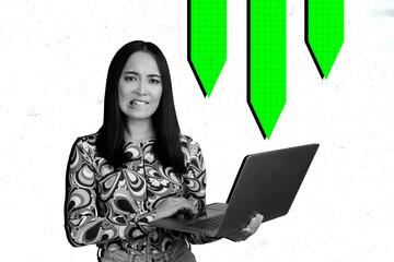 Image trendy art banner collage of puzzled businesswoman hold laptop freelancer problem arrow regress economy crisis statistics