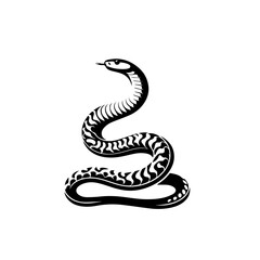 Milk Snake Vector Art | Colorful Non-Venomous Snake Illustration