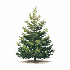 Fir tree