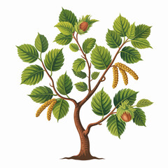 Hazel Tree Vector Outline | Deciduous Nut Tree Silhouette | Forest Illustration