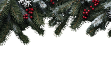 PNG Christmas green fluffy pine leaves border christmas snow-covered background.