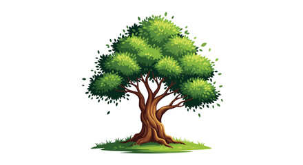 Beautiful and lush green oak tree with a strong trunk and detailed leaves isolated on a white background for a nature design.