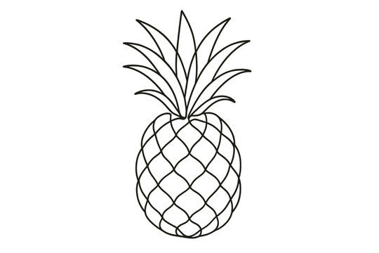 Outline drawing of pineapple with detailed texture and leaves