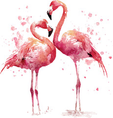 Elegant watercolor depiction of two loving flamingos standing together on a clean white background - vector illustration
