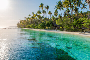 Beach with palm trees and quiet sea in tropical island