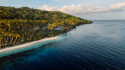 Tropical coastline with palm trees, mountain and sunrise tones