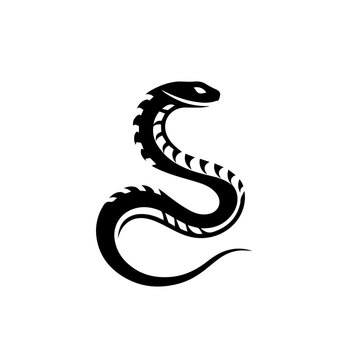 Saw-Scaled Viper Snake Vector 3 | Dangerous Venomous Viper Illustration