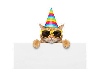 Ginger cat wearing sunglasses and a party hat holding a blank sign