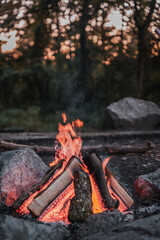 campfire in the forest