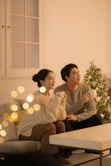 白熱灯のような夜の黄色い灯りの部屋で過ごすかわいいカップルのクリスマスツリーと冬　テレビなどメディアを見る 縦