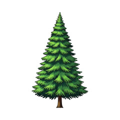 A single, symmetrical fir tree with lush green foliage in a minimalist vector style, isolated against a transparent background. Concept of nature and ecology