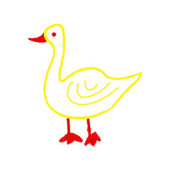 Drawing made by a kid, Hand drawn Duck sketch of chalk or crayon on transparent background. 