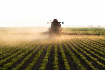 Tractor spraying crops in a lush green field at sunset.