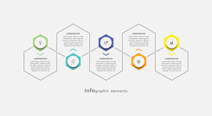 Vector infographic business template colorful design