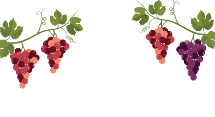 Beautiful clusters of red and purple grapes with lush leaves and tendrils elegantly frame a pristine white central space.